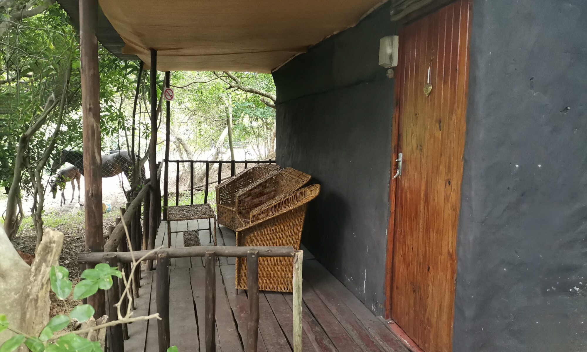 Dormitory Room